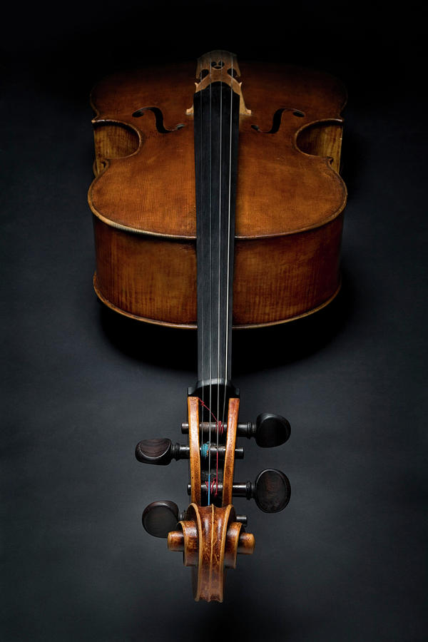 Antique Cello On The Floor Photograph by Jonnie Miles