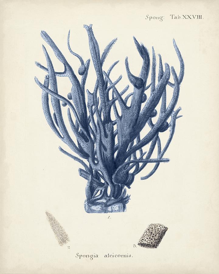 Antique Coral In Navy V Painting by Johann Esper Antique Coral In Navy V Painting by Johann Esper