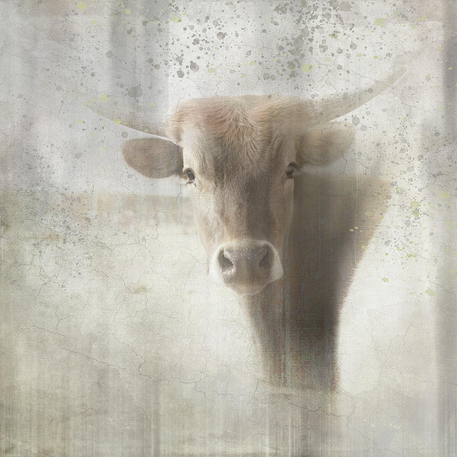 Cow Mixed Media - Antique Farm 05 by Lightboxjournal