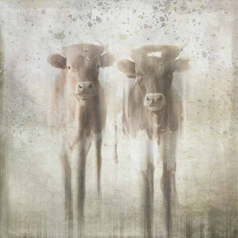 Cow Photograph - Antique Farm 06 by Lightboxjournal