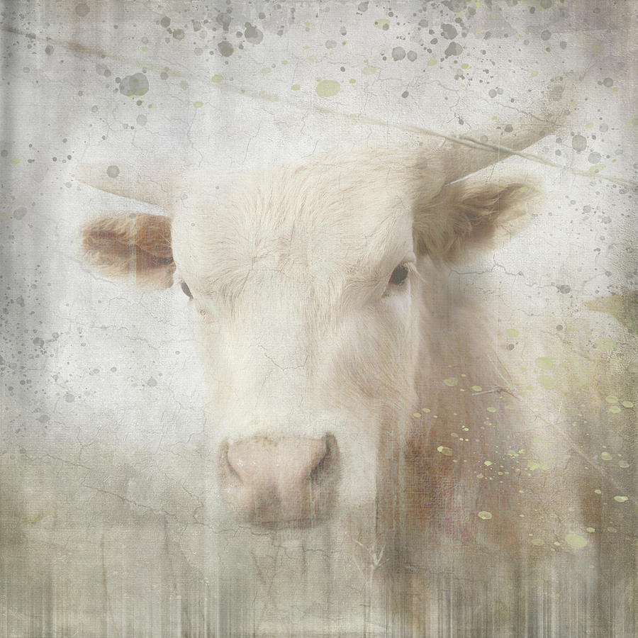 Cow Mixed Media - Antique Farm 07 by Lightboxjournal