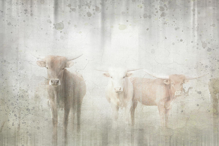 Cow Mixed Media - Antique Farm 08 by Lightboxjournal