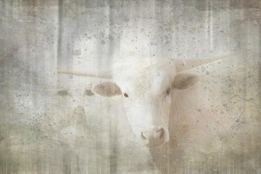 Cow Mixed Media - Antique Farm 10 by Lightboxjournal