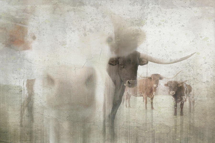 Cow Photograph - Antique Farm 16 by Lightboxjournal