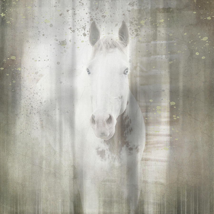 Horse Mixed Media - Antique Farm 30 by Lightboxjournal