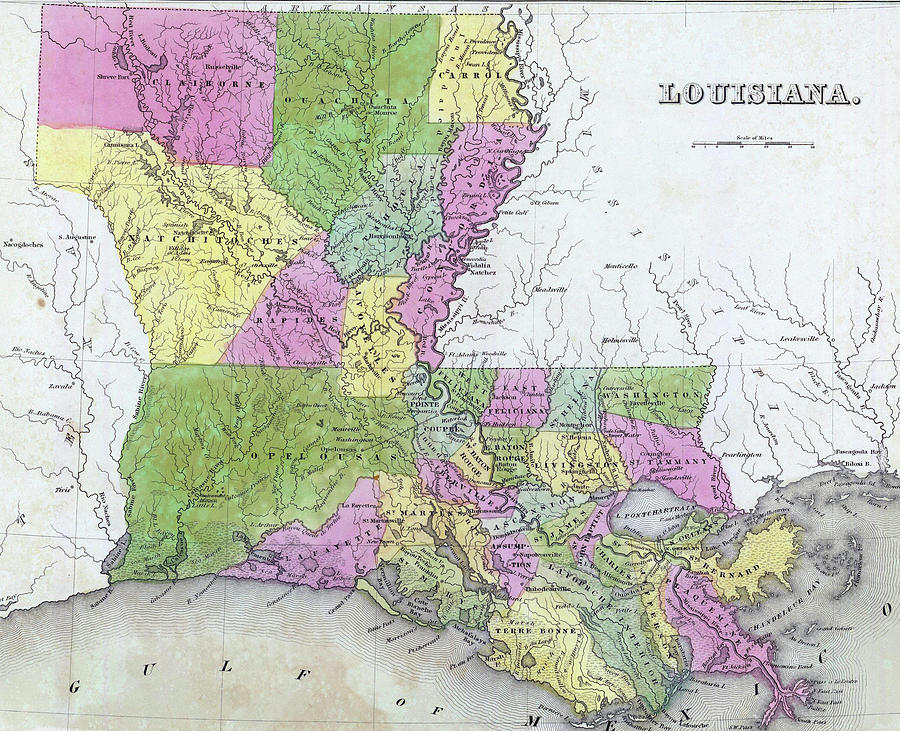Antique map of Louisiana   Photograph by Steve Estvanik