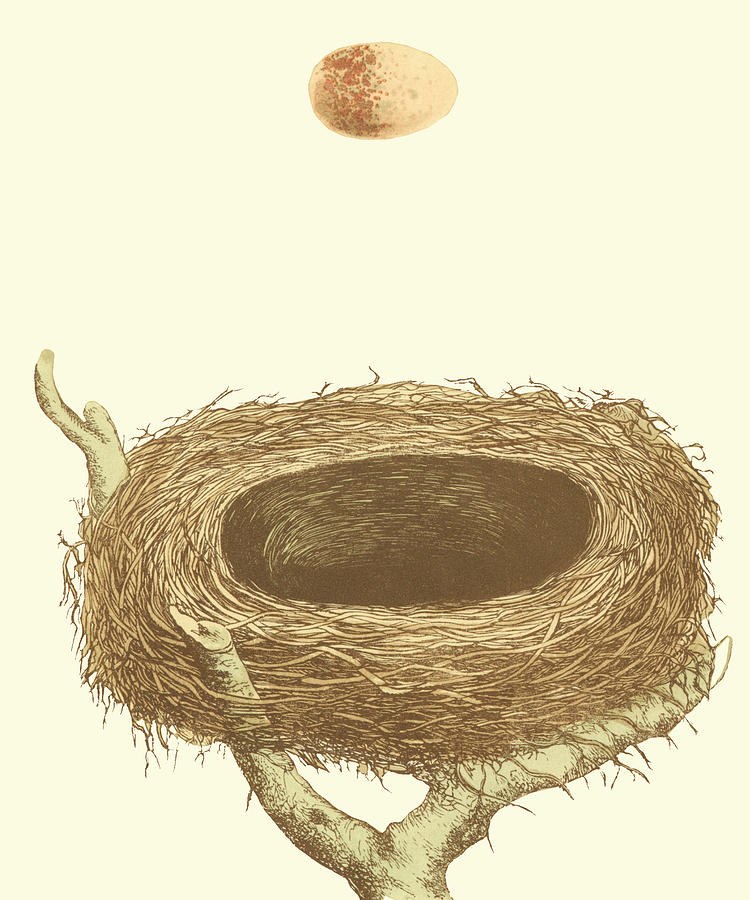 Bird Painting - Antique Nest & Egg IIi by Morris