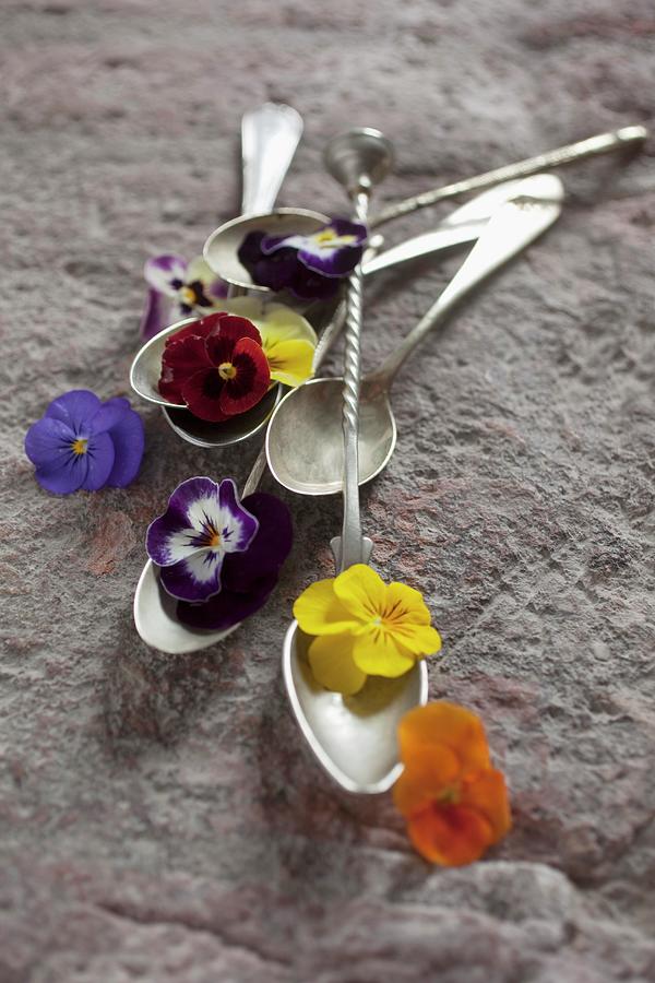 Antique Spoons Decorated With Flowers Photograph by Stepien, Malgorzata