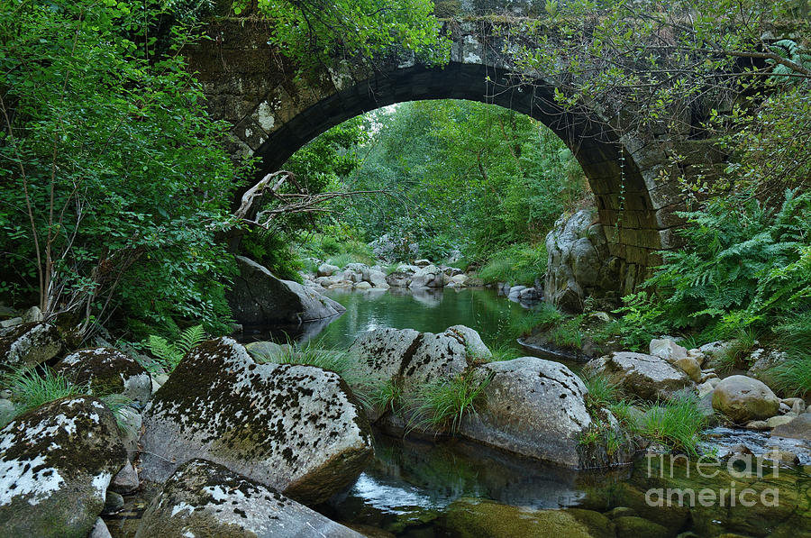 Antique stone bridge and river in Carvalhais by Angelo DeVal Antique stone bridge and river in Carvalhais by Angelo DeVal