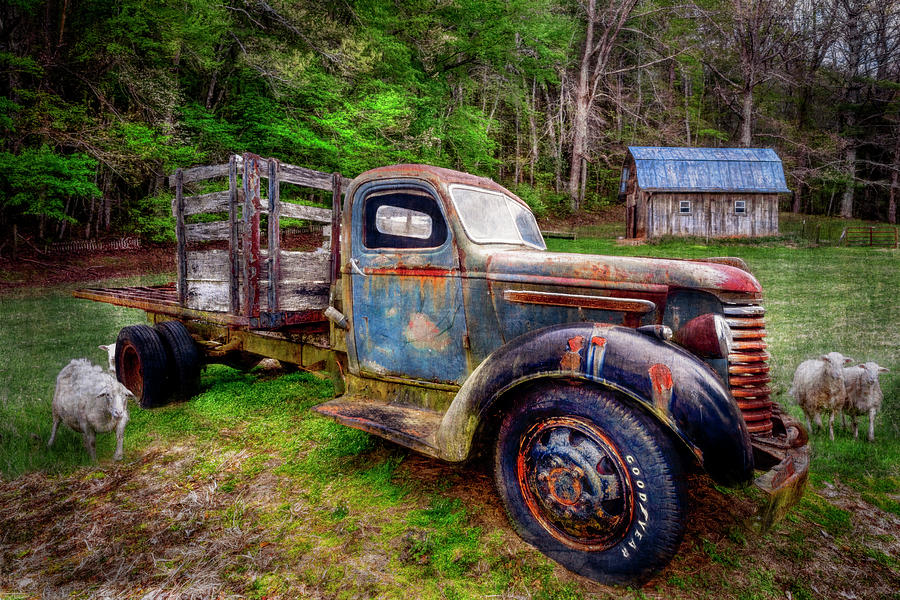 Antique Truck at the Farm Photograph by Debra and Dave Vanderlaan