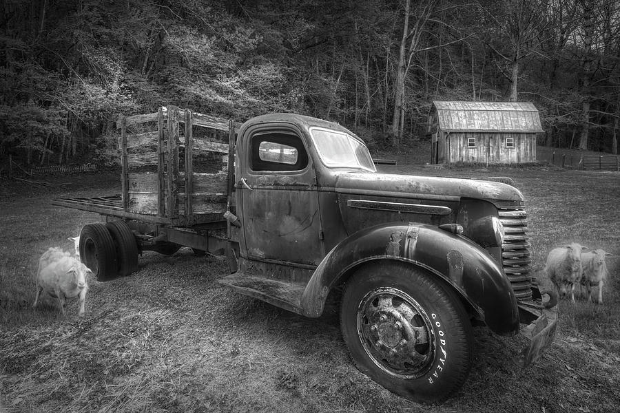 Antique Truck at the Farm in Black and White Photograph by Debra and Dave Vanderlaan