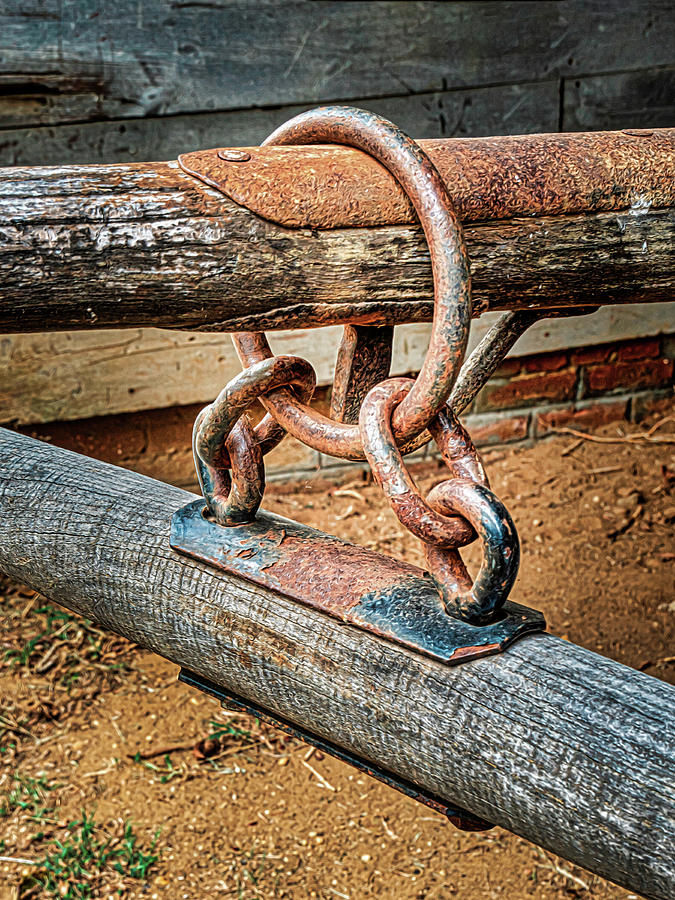 Antique Wagon Mule Hitch Assembly Photograph by Gary Slawsky
