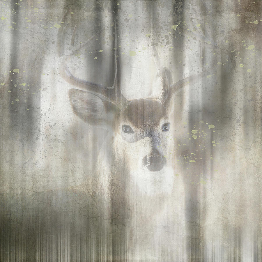 Yellowstone National Park Mixed Media - Antique Wildlife Deer 01 by Lightboxjournal