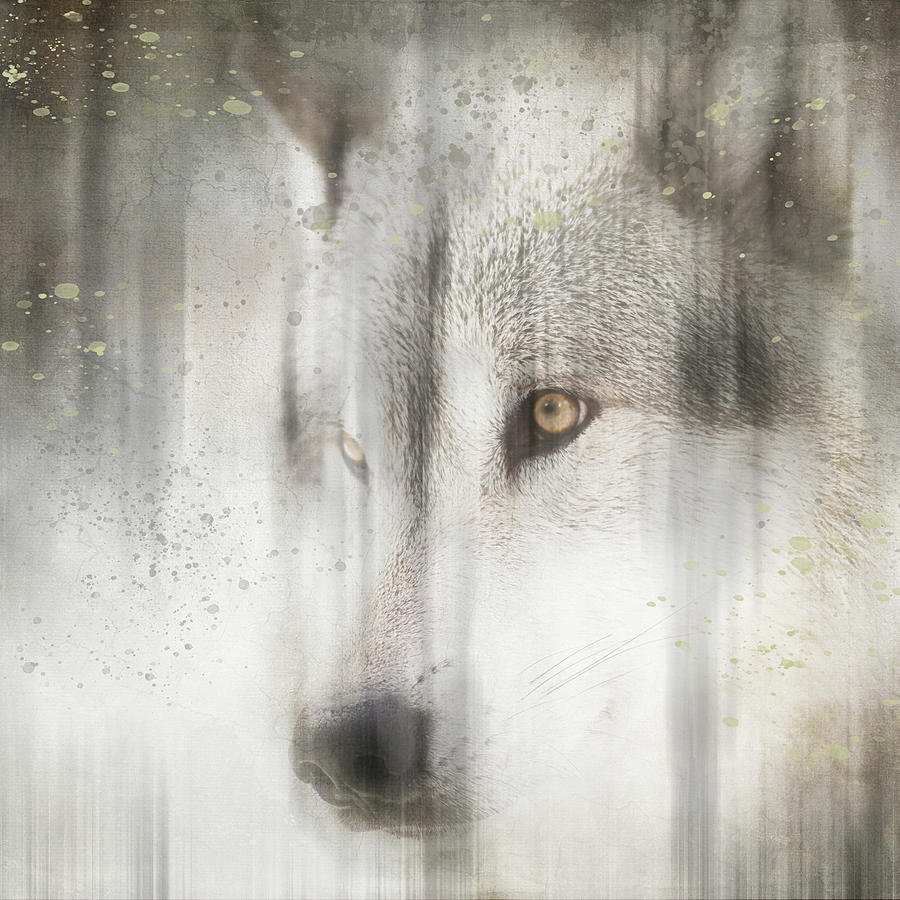 Wolves Photograph - Antique Wildlife Wolf by Lightboxjournal