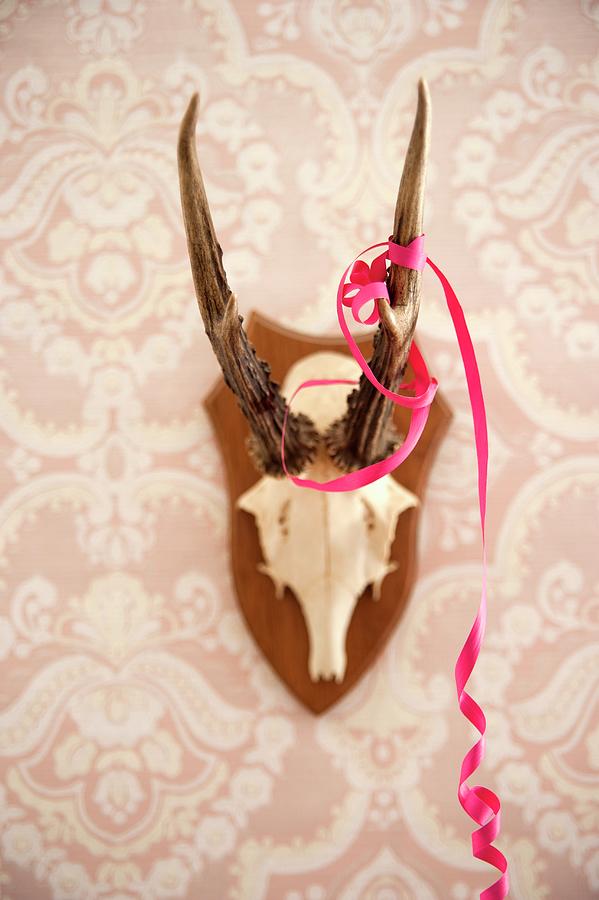 Antlers And A Streamer As Wall Decoration Photograph by Manuela Rther