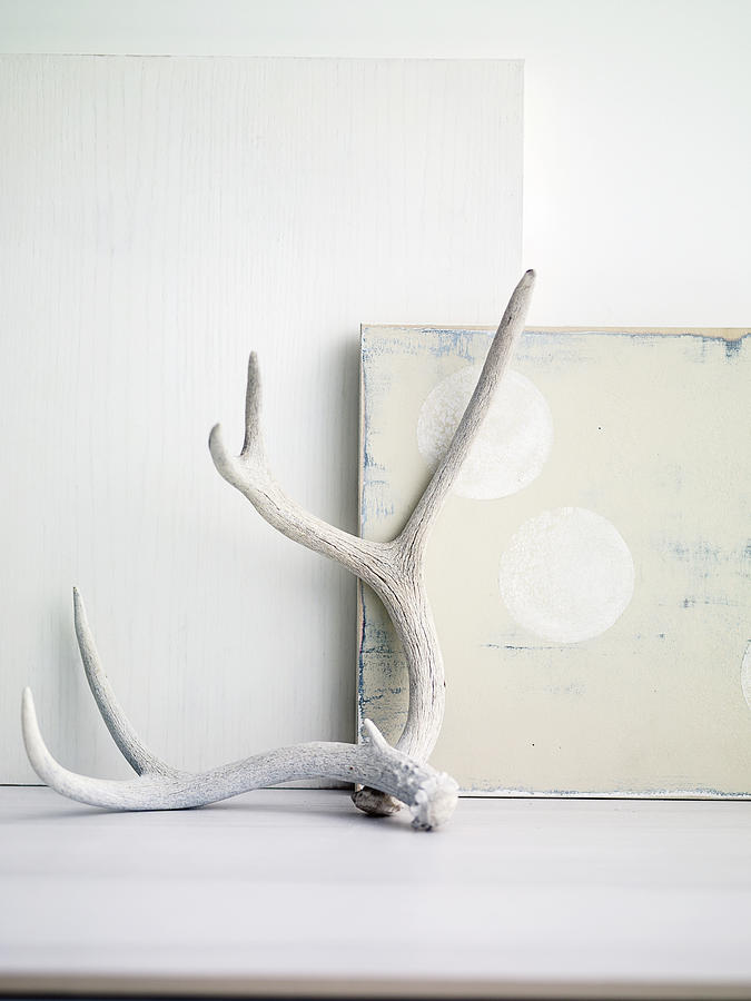 Antlers Leaning Against White Paintings Photograph by Jim Franco