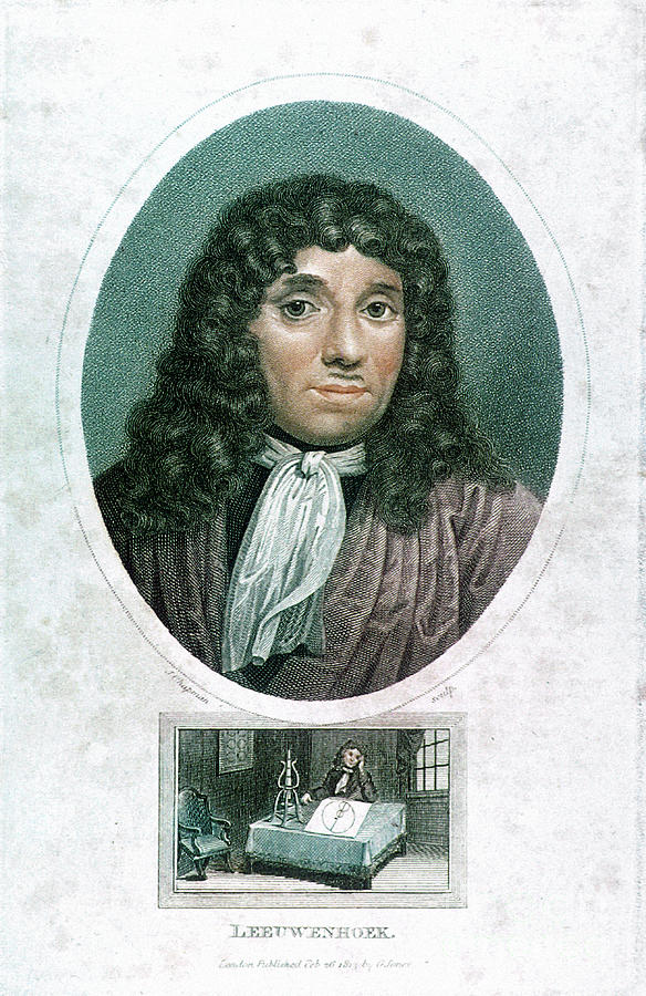 Anton Van Leeuwenhoek 1632-1723, Dutch Drawing by Print Collector