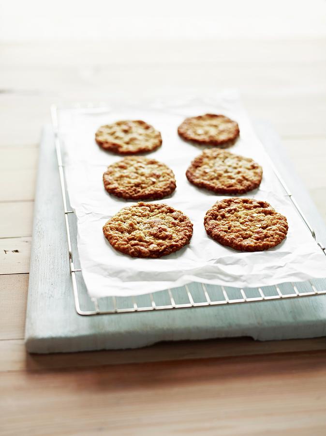 Anzac Biscuits On A Baking-paper Covered Wirerack Photograph by Will Shaddock Photography