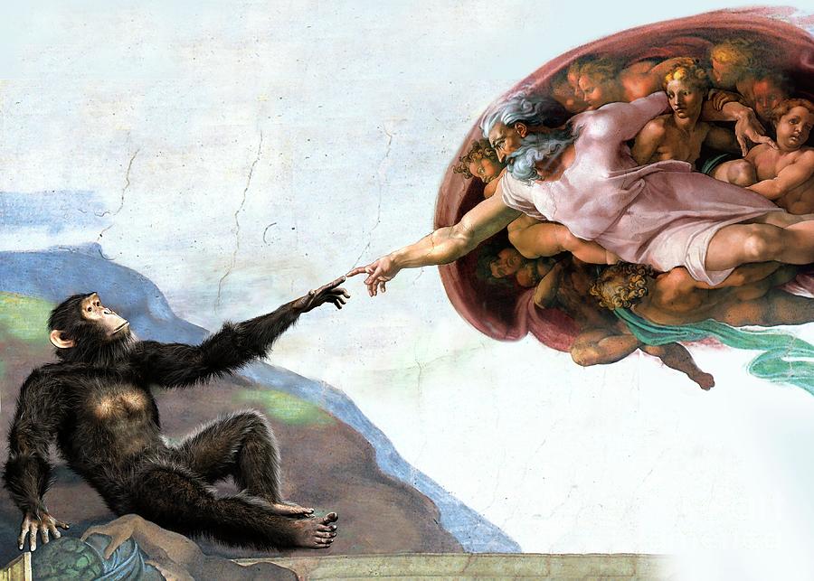 Ape And Creation Of Adam Photograph by Jose Antonio Penas/science Photo Library