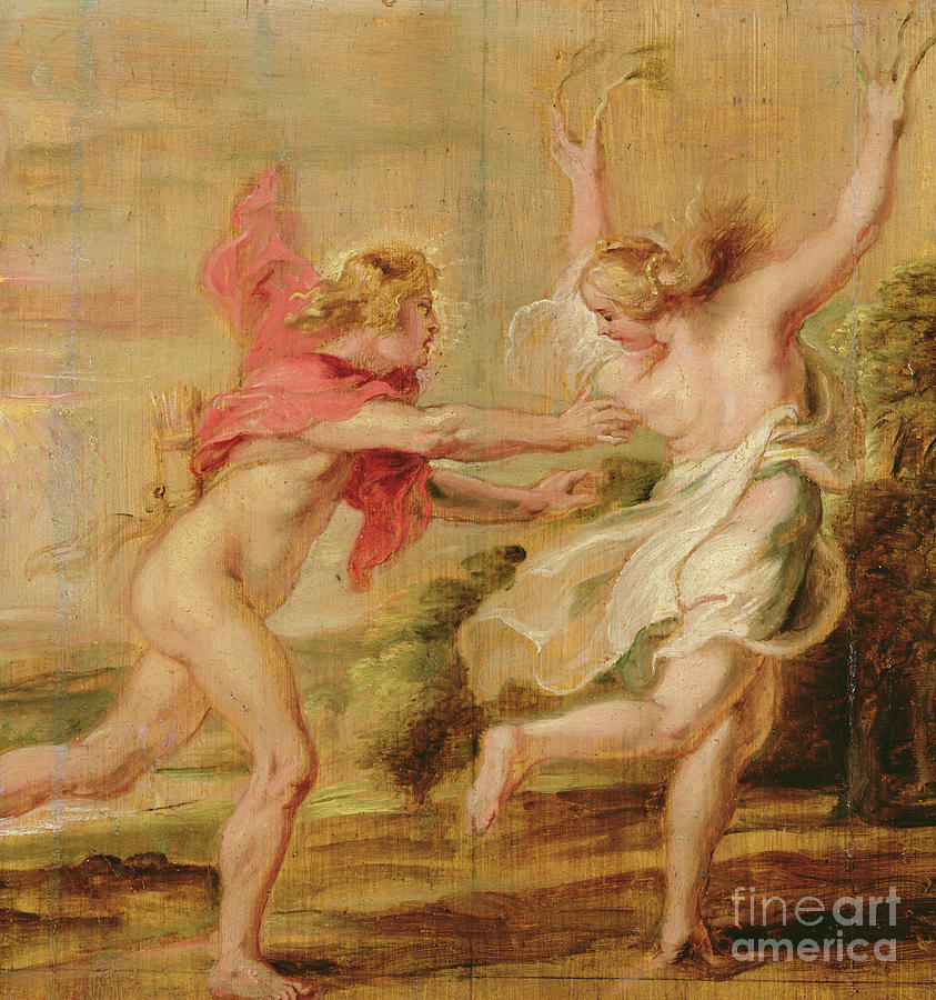 Peter Paul Rubens Painting - Apollo And Daphne, C.1636 by Peter Paul Rubens