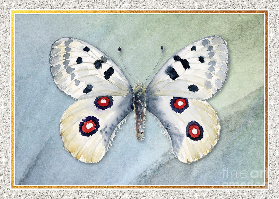 Apollo Butterfly Painting