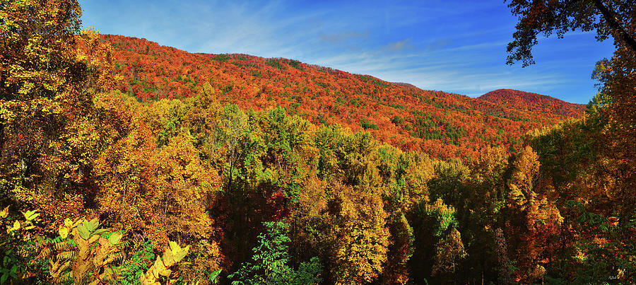 Appalachian Autumn Panorama Photograph by Greg Norrell