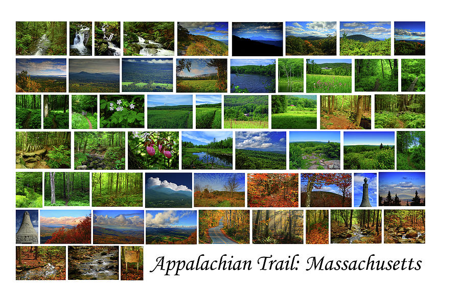 Appalachian Trail Massachusetts Photograph by Raymond Salani III