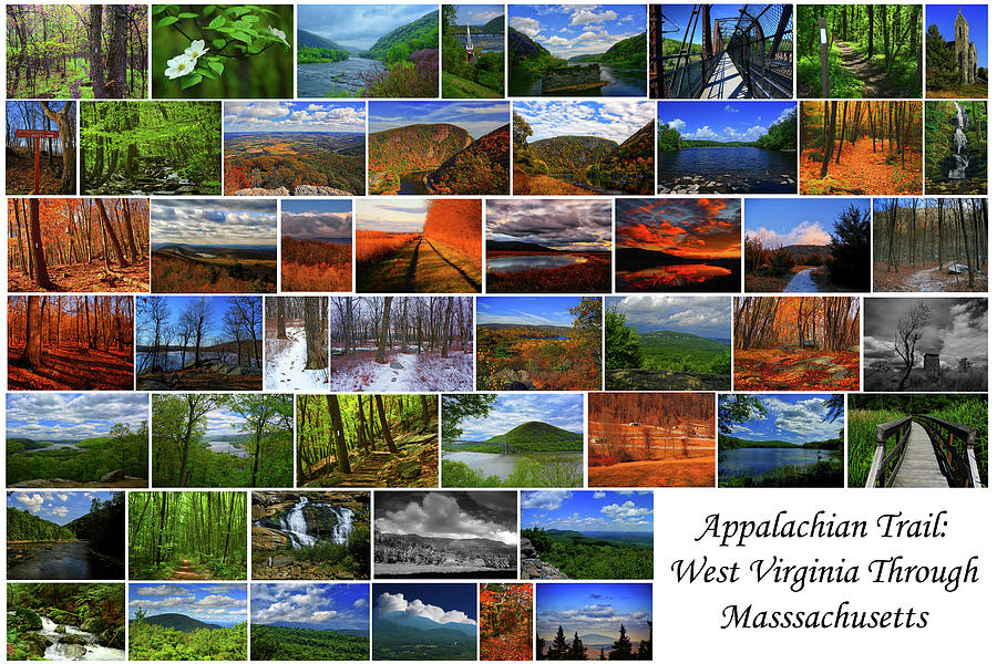 Appalachian Trail West Virginia Through Massachusetts Photograph by Raymond Salani III