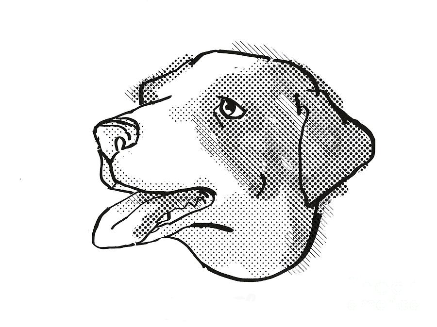 Appenzeller Sennenhunde Dog Breed Cartoon Retro Drawing Digital Art