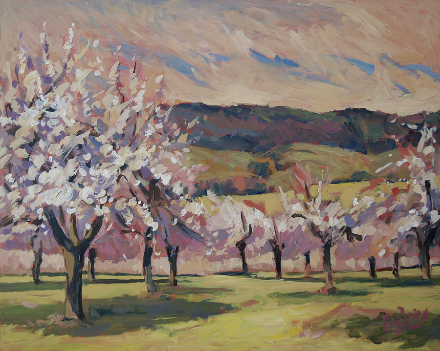 Blossom Painting - Apple blossom Geuldal by Nop Briex