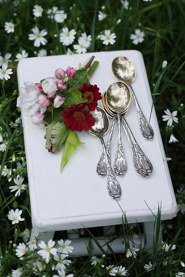Apple Blossom, Red Flowers And Parrot Tulips Next To Silver Spoons Photograph by Angelica Linnhoff