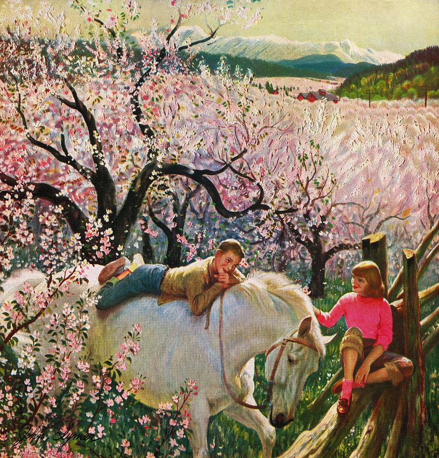 Apple Blossom Time Drawing by John Clymer