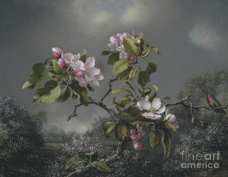 Apple Blossoms and Hummingbird, 1871 Painting by Martin Johnson Heade