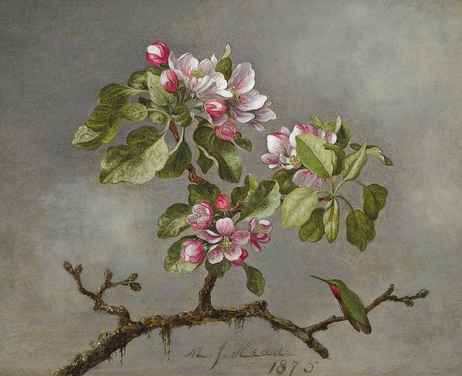 Apple Blossoms and Hummingbird Painting by Martin Johnson Heade