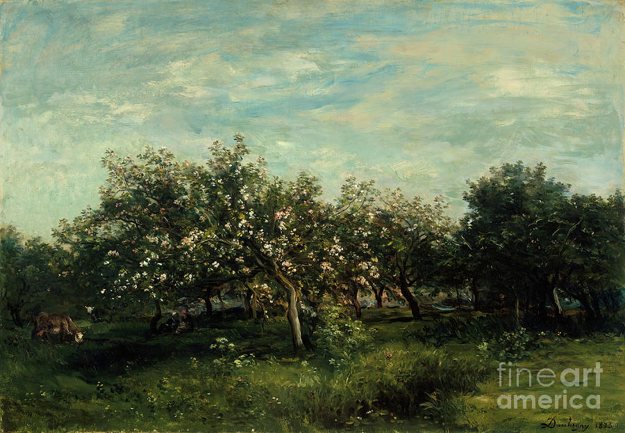 Apple Blossoms Drawing by Heritage Images
