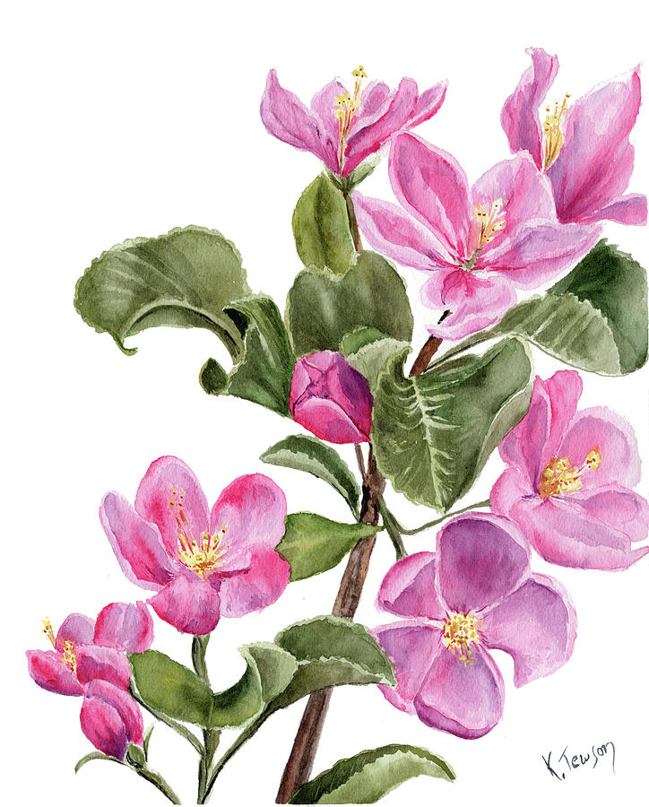 Apple Blossoms I Painting By Kathryn Tewson