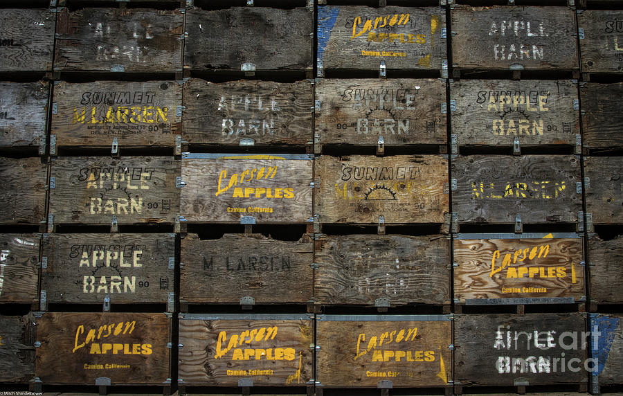 Apple Crates Photograph by Mitch Shindelbower