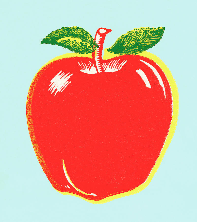 Vintage Drawing - Apple by CSA Images