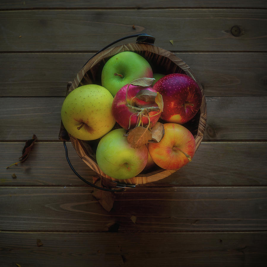 Apple harvest by Alessandra RC Apple harvest by Alessandra RC