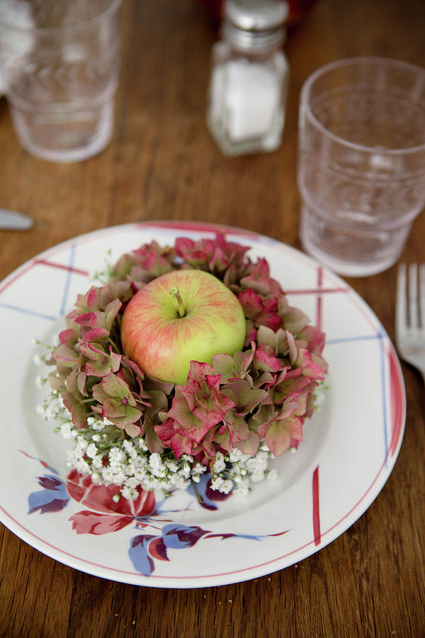 Apple In Wreath Of Hydrangeas And Gypsophila Decorating Plate Photograph by Iris Wolf