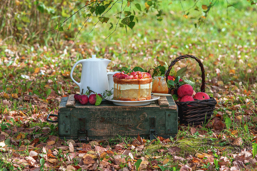 Apple Jelly Cake In Autumn Garden Photograph by Irina Meliukh