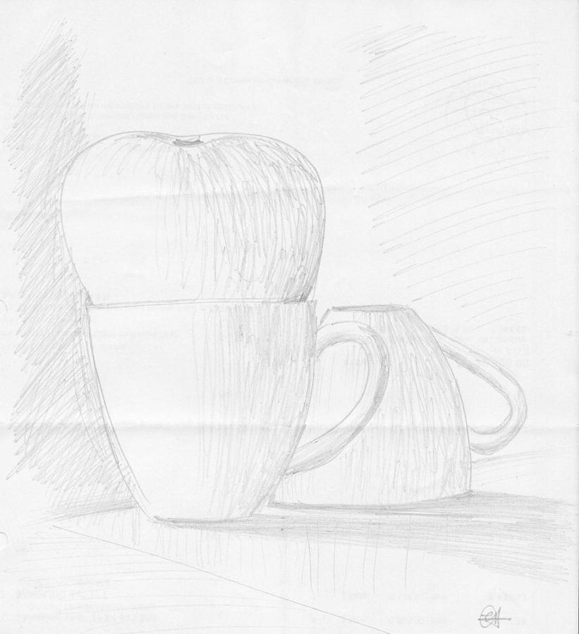 Apple On A Cup Drawing by Mustafa Attari - Pixels