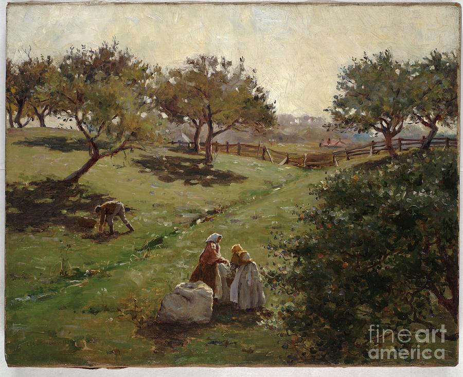 Apple Orchard, 1892 Painting by Luther Emerson Van Gorder