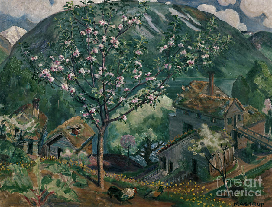 Apple tree in full bloom Painting by O Vaering by Nikolai Astrup
