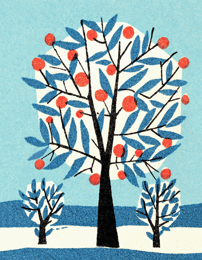 Nature Drawing - Apple tree in winter by CSA Images