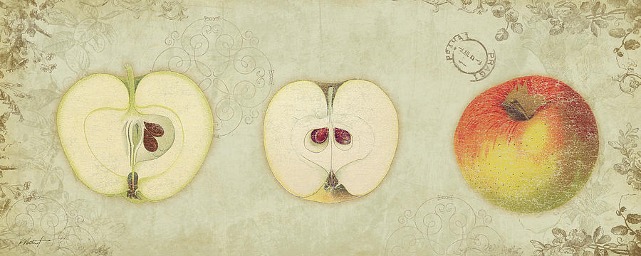 Apple Drawing - Apple Trio by Katie Pertiet