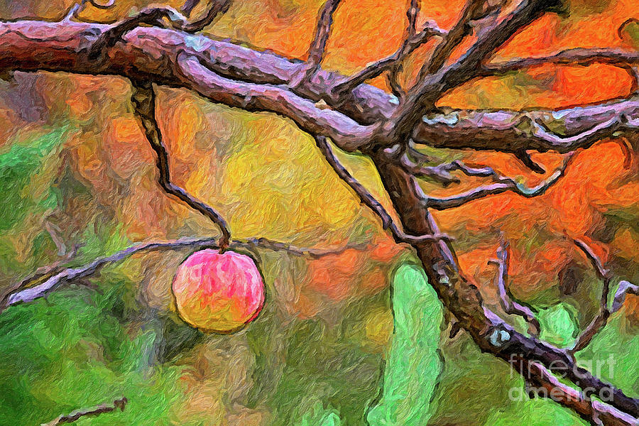 Apple Unpicked by C L Lassila Apple Unpicked by C L Lassila