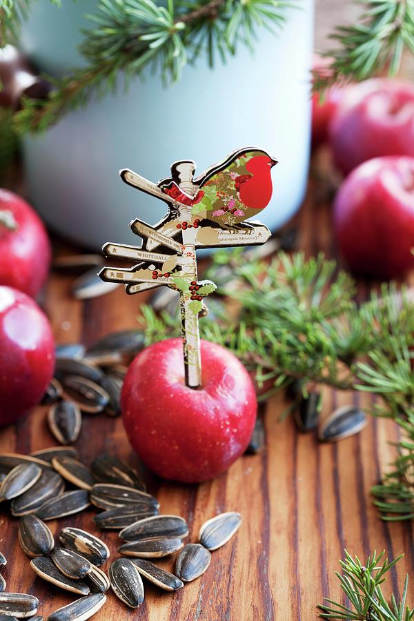 Apple With Nostalgic Signpost Cut-out For Feeding Birds Photograph by Martina Schindler