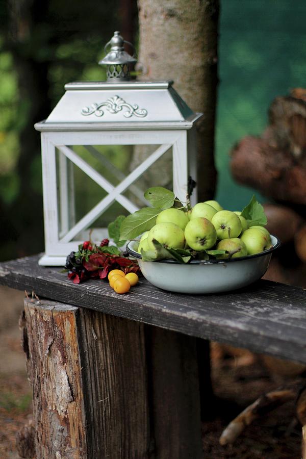 Apples And Lantern On Wooden Bench In Garden Photograph by Sylvia E.k Photography