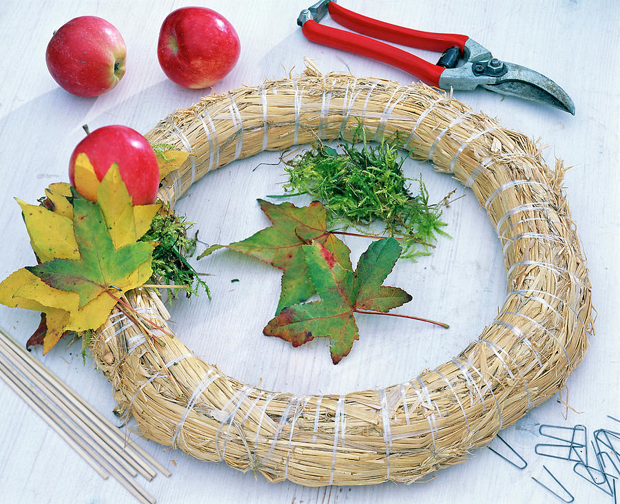 Apples And Sweet Leaves Wreath Photograph by Friedrich Strauss